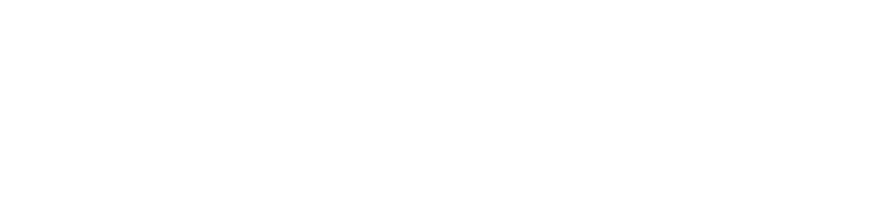 ديجيكون Digiconn